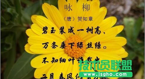 wps如何设置图片置于文字下方