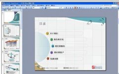 ppt怎么消除图片水印