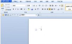 wps如何固定文字和图片