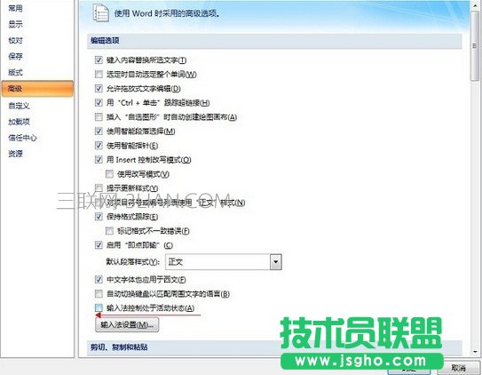 Word2007不能输入文字怎么办5