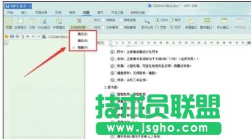 wps如何打开文档结构图
