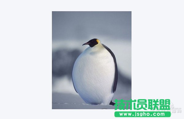 电脑变慢卡死的原因
