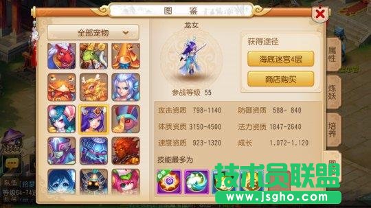 梦幻西游宠物
