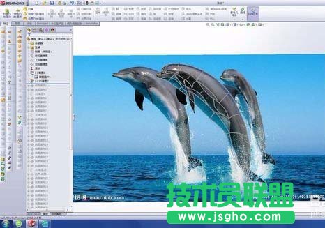 solidworks如何绘制漂亮的海豚