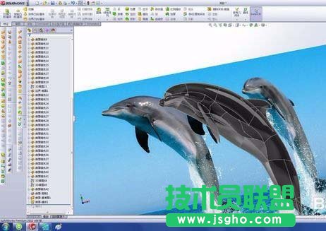 solidworks如何绘制漂亮的海豚