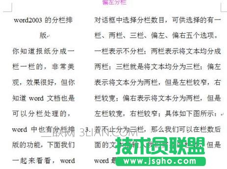 word怎么进行分栏排版