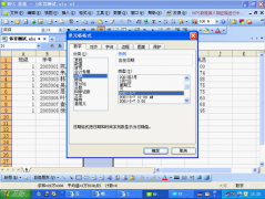 怎样掌握WPS表格数据有效性的应用？