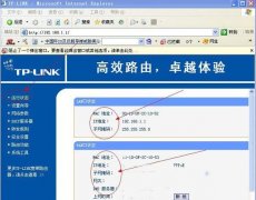 TP-LINK WAN口状态无显示的原因