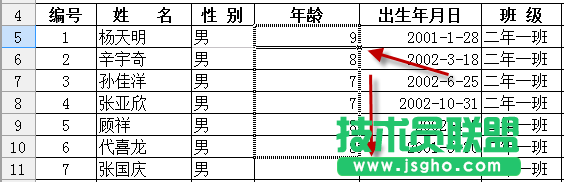 WPS表格年龄填写教程
