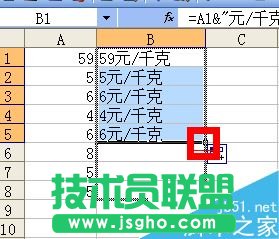Excel如何在单元格内批量加前缀或后缀？