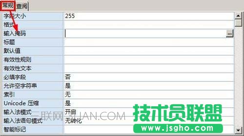 access单元格如何设置输入掩码格式