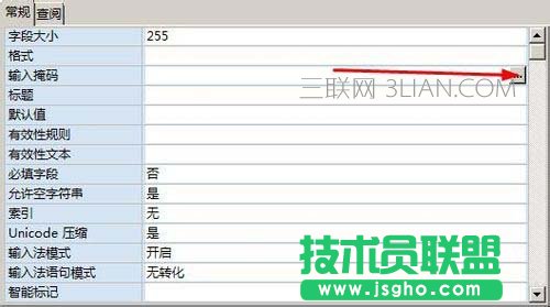 access单元格如何设置输入掩码格式