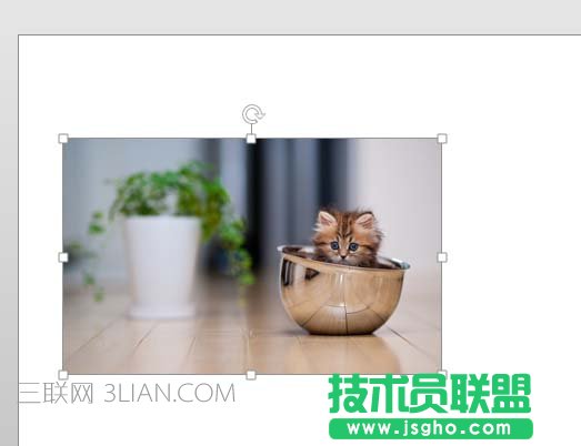 PPT图片如何快速等分