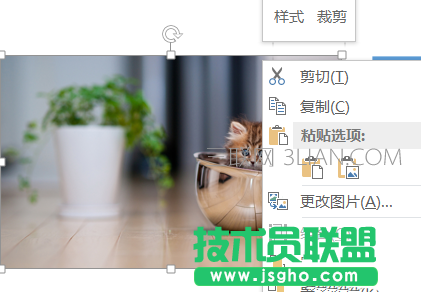 PPT图片如何快速等分