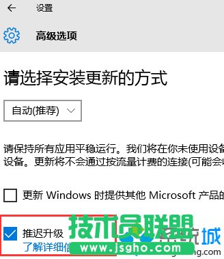 勾选“推迟升级”