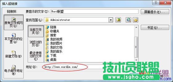 在超链接中输入网址
