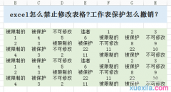 excel如何禁止修改表格