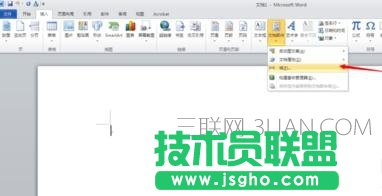 word2010怎么设置域