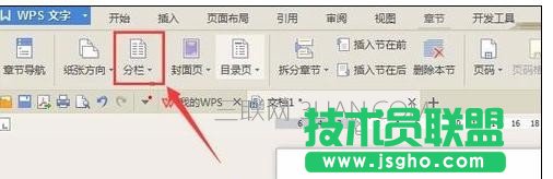 wps版2016如何设置文字分栏效果