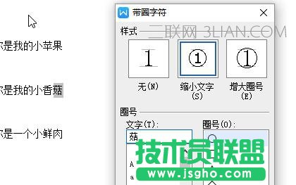 如何在wps文字中使用中文版式