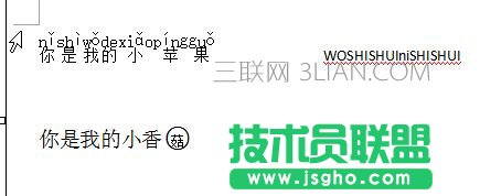 如何在wps文字中使用中文版式