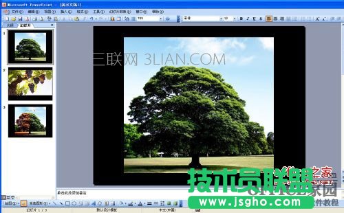 ppt2003怎样让背景音乐一直播放   三联