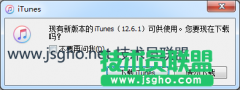 技术员联盟：itunes打开后提示新版本怎么办？