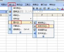 excel插入图片变成空白怎么解决