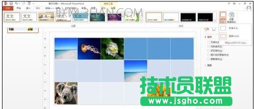 ppt版式怎么设置