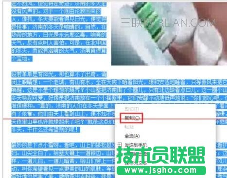 如何将网页内容复制到wps文字中
