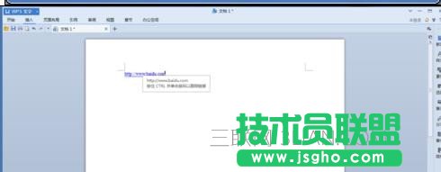 在wps中怎样使用文字域