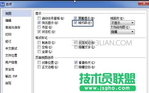 在wps中怎样使用文字域
