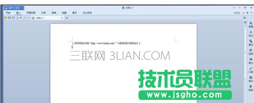 在wps中怎样使用文字域