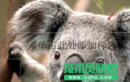 ppt如何设置纹理背景效果