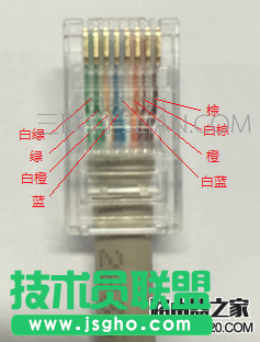 如何正确的查看网线线序？
