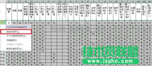 Excel2013如何统计一定范围的数值