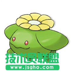 毽子花