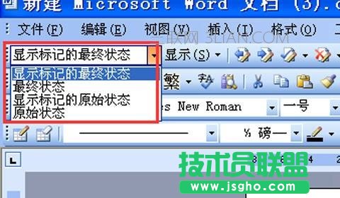 怎样去除Word做文章出现的标记