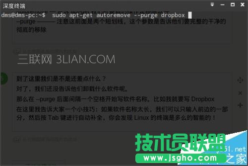 Linux卸载Dropbox的教程