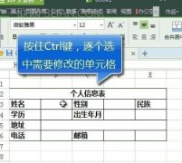 wps权设置限