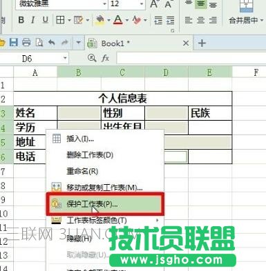 wps表格权限如何设置