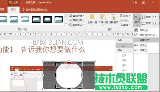 如何快速实现ppt中图片局部放大效果图片