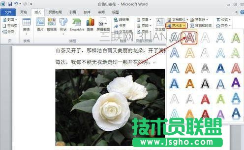 word怎么给图片添加文字 三联