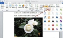 word怎么给图片添加文字