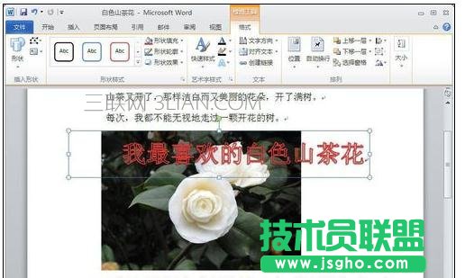 word怎么给图片添加文字