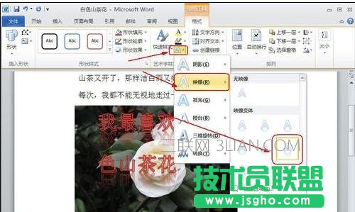 word怎么给图片添加文字
