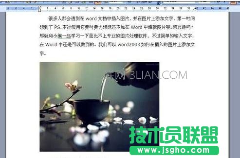 word怎么给图片添加文字