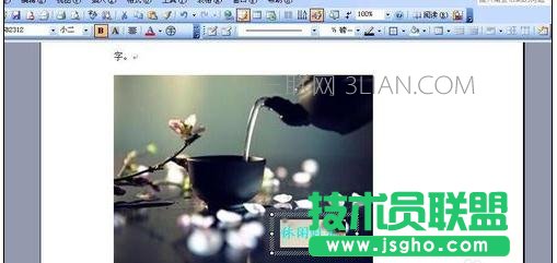 word怎么给图片添加文字