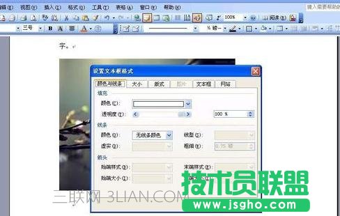 word怎么给图片添加文字