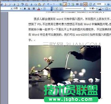 word怎么给图片添加文字